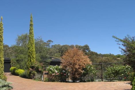 16 Pellew Ave, Auldana, SA 5072