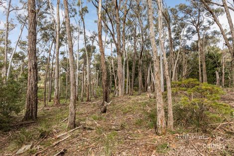 Property photo of 45 Springhill Road Denver VIC 3461