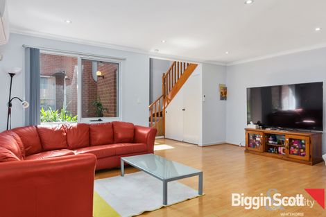 Property photo of 6/1-3 Albion Road Box Hill VIC 3128