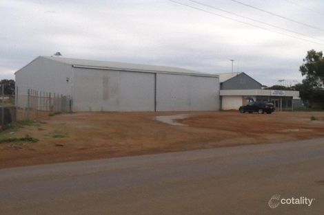 Farrell St, Perenjori, WA 6620