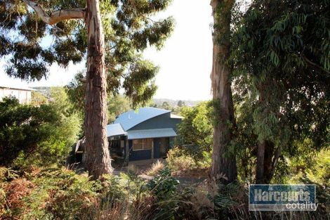 23 Sandra Dr, Blackmans Bay, TAS 7052