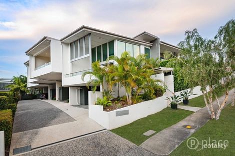 Property photo of 2/238 Oxford Street Balmoral QLD 4171