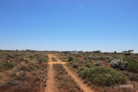 Property photo of 56 Ring Road Morgan SA 5320