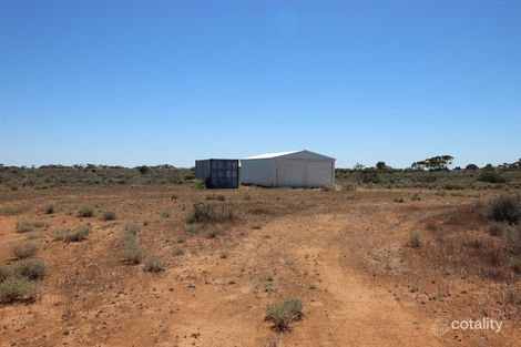 56 Ring Rd, Morgan, SA 5320