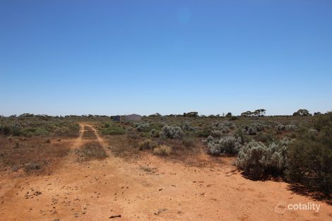 Property photo of 56 Ring Road Morgan SA 5320