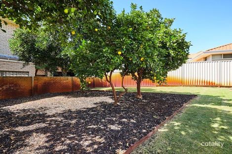Property photo of 33 Riley Road Kardinya WA 6163
