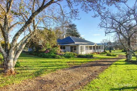 297 Old Coast Rd, Dorrigo, NSW 2453