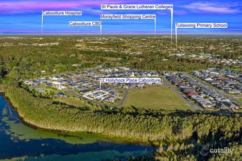 Property photo of 12 Hollyhock Place Caboolture QLD 4510