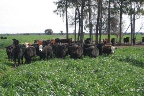 525 Narromine Rd, Moonie, QLD 4406