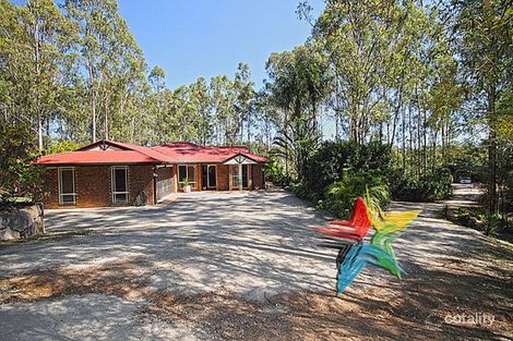 Property photo of 21 Lightwood Court Cedar Vale QLD 4285