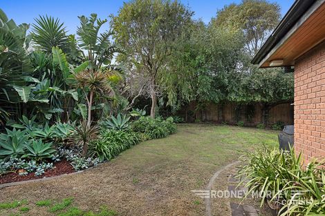Property photo of 124 Bambra Road Caulfield VIC 3162