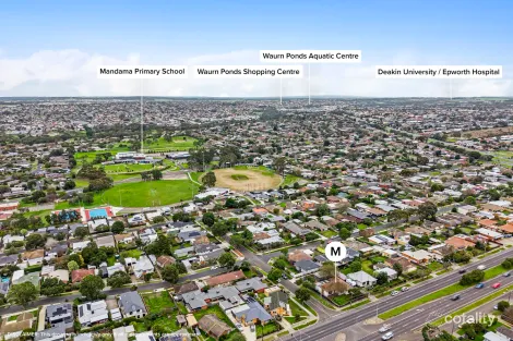 Property photo of 83 Settlement Road Belmont VIC 3216