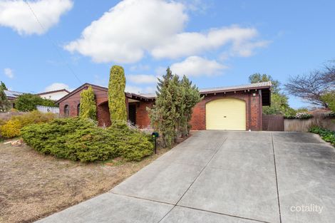 61 Camm Ave, Bull Creek, WA 6149