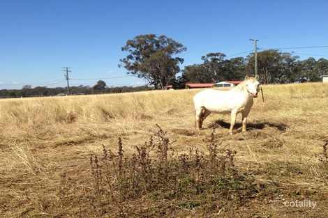 Property photo of 24-44 Seidels Road Walloon QLD 4306
