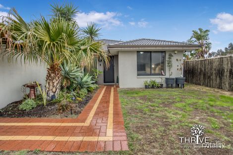 Property photo of 7 Dorsal Bend Hammond Park WA 6164