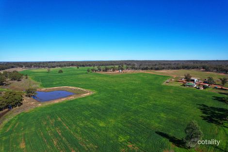 345 Albert Rd, Albert, NSW 2873