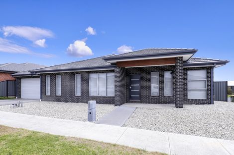 60 Champion Pde, Craigieburn, VIC 3064