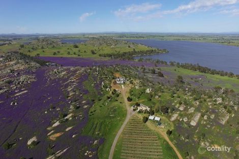 24 Back Cairn Curran Rd, Baringhup, VIC 3463