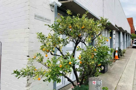 5/10 CAHILL ST, ANNANDALE, NSW 2038