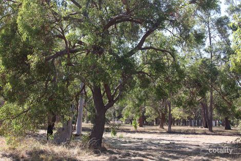 Property photo of 22 Passive Place Barragup WA 6209