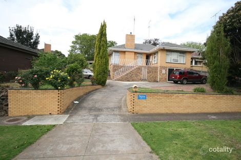 38 The Avenue, Belmont, VIC 3216