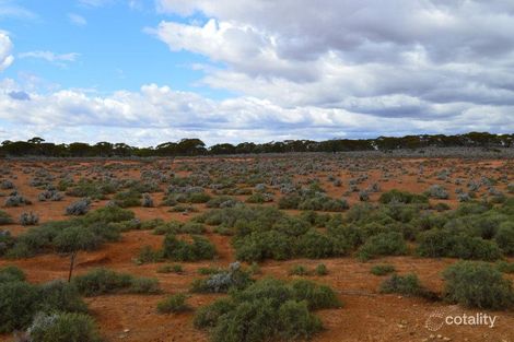 74 Stock Route Rd, Mount Mary, SA 5374