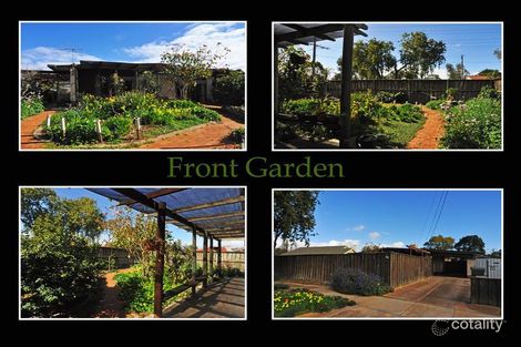 Property photo of 20 Athalie Avenue Parafield Gardens SA 5107