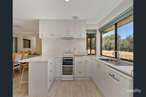 Property photo of 167 Julian Road Macdonald Park SA 5121