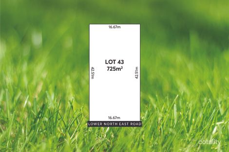 648 Lower North East Rd, Paradise, SA 5075