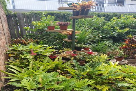 1/7 Christensen St, Yeronga, QLD 4104