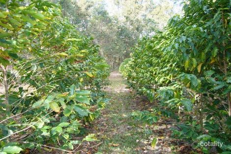 Property photo of 16 Yellow Button Close Warner QLD 4500
