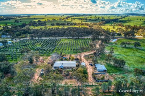 23 Queen St, Walbundrie, NSW 2642