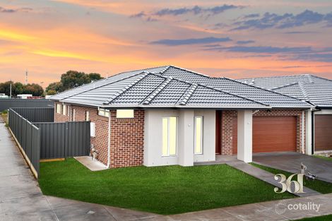 Property photo of 7 Butternut Way Tarneit VIC 3029