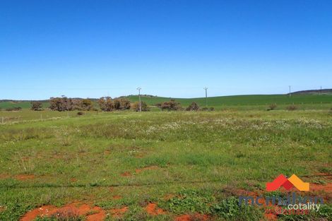 21 Green Dr, Nabawa, WA 6532