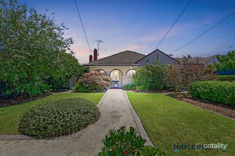 Property photo of 45 Molden Street Bentleigh East VIC 3165