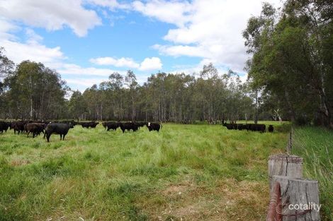 45 Peechelba Rd, Peechelba East, VIC 3678