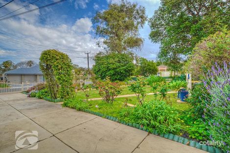 Property photo of 56 Cooinda Avenue Redwood Park SA 5097