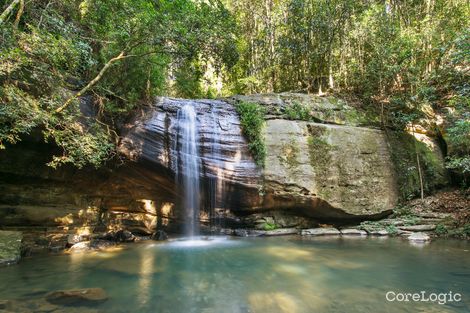 Property photo of 23 Lavarack Crescent Buderim QLD 4556