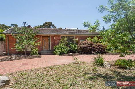 Property photo of 53 Dumaresq Street Dickson ACT 2602