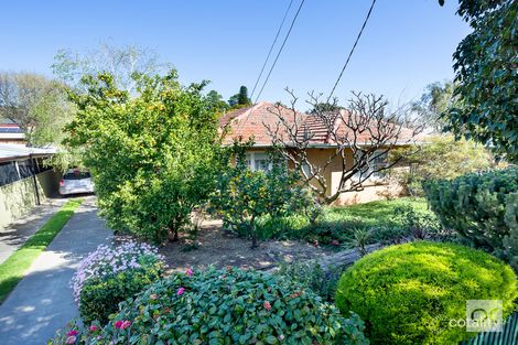 12 Barrelder Rd, Torrens Park, SA 5062