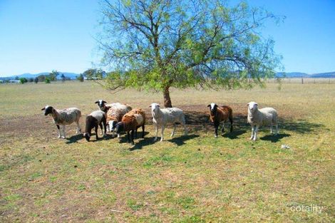 Property photo of 57 Stanley Crescent Quirindi NSW 2343