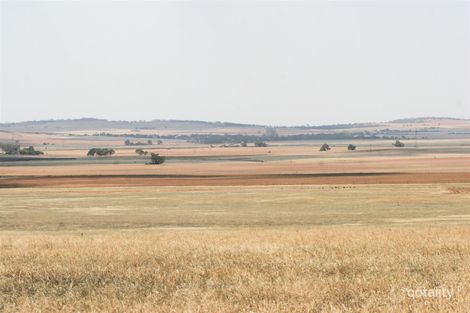 1494 Stock Route Rd, Robertstown, SA 5381