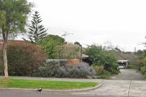 3/46 Morotai Ave, Ashburton, VIC 3147