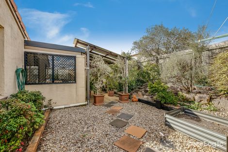 Property photo of 24 Mc Dougall Street Wilsonton QLD 4350