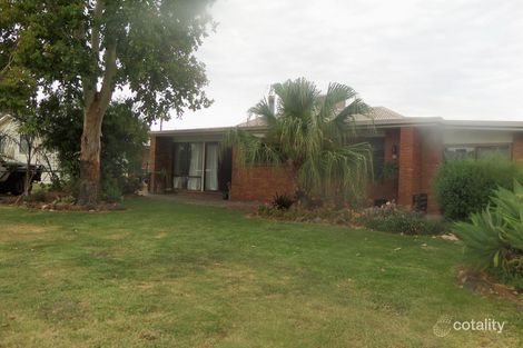 Property photo of 3 Kurrajong Crescent Goondiwindi QLD 4390