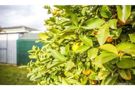 Property photo of 178 Pound Road Elliminyt VIC 3250