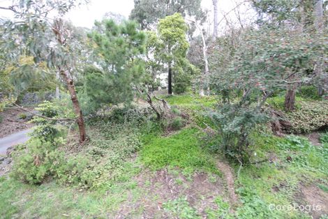 Property photo of 246 Forest Road Boronia VIC 3155