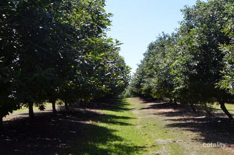 280 Mororo Rd, Mororo, NSW 2469