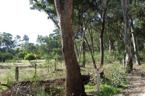 Property photo of 335 Mia Mia Road Newstead VIC 3462