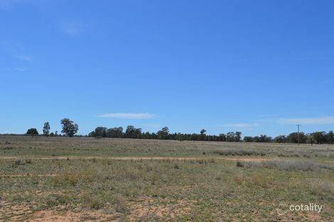 Property photo of 434 Drillwarrina Road Balladoran NSW 2822